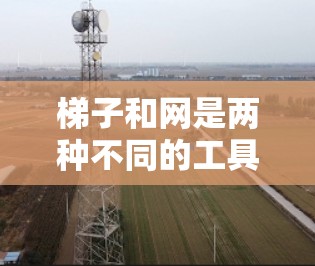 梯子和网是两种不同的工具或结构，各自有不同的用途和设计要求。梯子主要用于帮助人们爬楼、移动或在室内使用，而网主要用于过滤或隔离信息。两者在设计上各有侧重，因此梯子好用和网好用并不是同一个概念