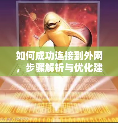 如何成功连接到外网，步骤解析与优化建议