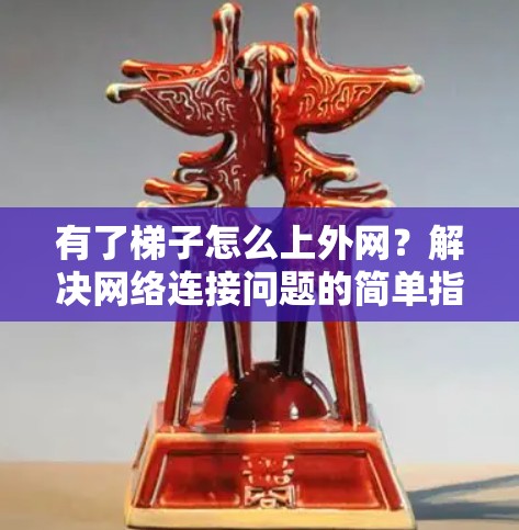 有了梯子怎么上外网？解决网络连接问题的简单指南