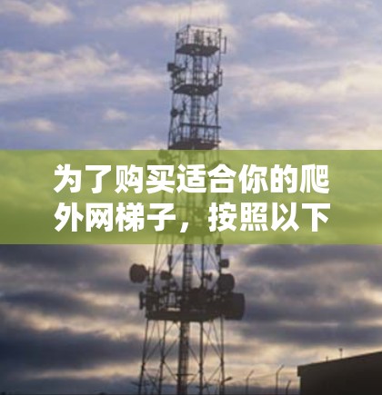 为了购买适合你的爬外网梯子，按照以下步骤进行