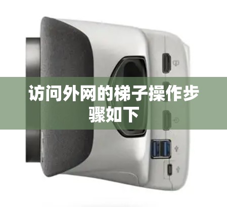 访问外网的梯子操作步骤如下
