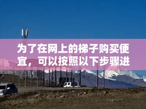 为了在网上的梯子购买便宜，可以按照以下步骤进行