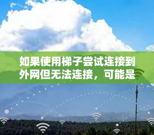如果使用梯子尝试连接到外网但无法连接，可能是由于物理障碍物、网络环境或故障导致的。以下是可能的原因和解决方案