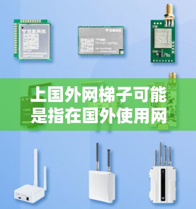上国外网梯子可能是指在国外使用网线或网梯子的设备或设施。网梯子通常用于固定或提升网线，特别是在建筑、工业或农业等领域。在国外，网梯子的使用可能需要符合特定的法规和规范，以确保安全性、强度和适用性