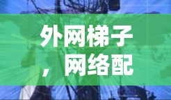 外网梯子，网络配置的关键工具