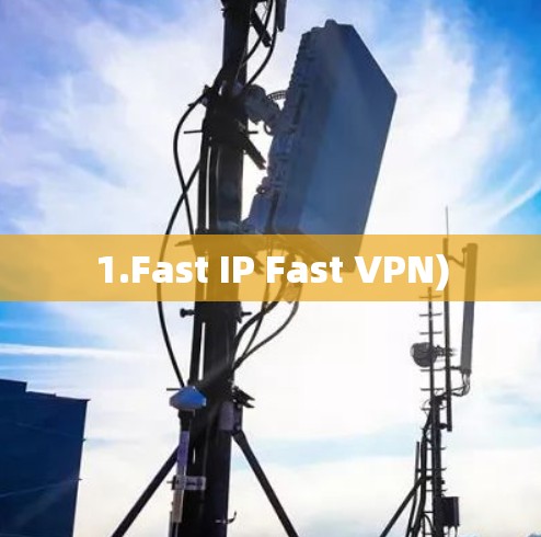 1.Fast IP Fast VPN)