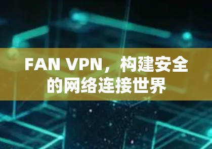 FAN VPN，构建安全的网络连接世界