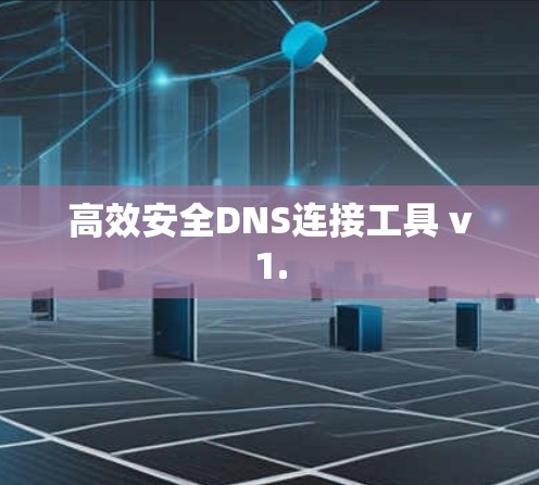 高效安全DNS连接工具 v1.