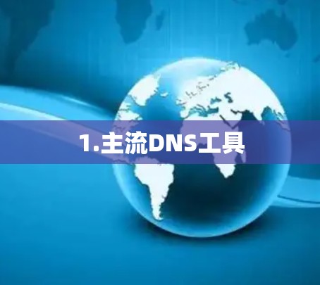 1.主流DNS工具