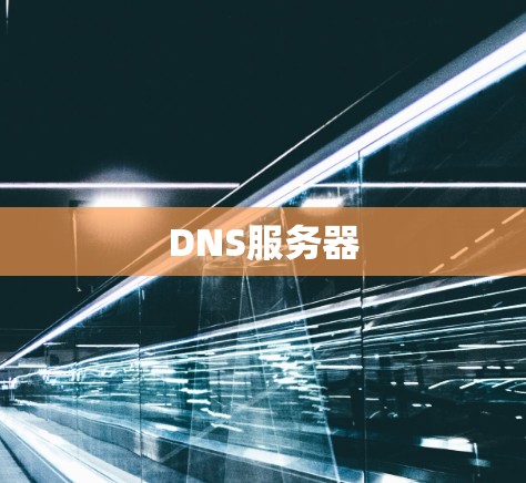 DNS服务器