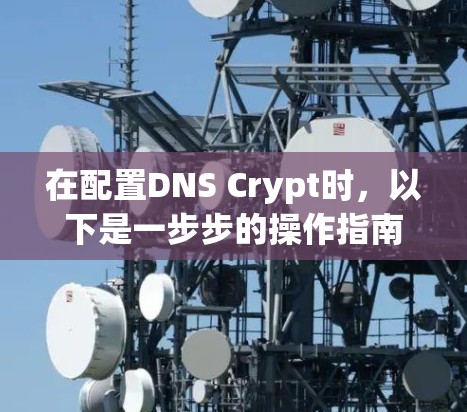 在配置DNS Crypt时，以下是一步步的操作指南