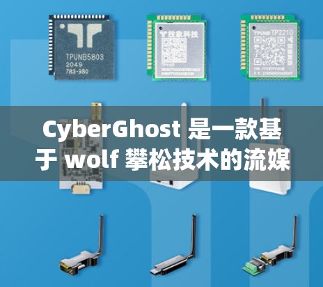 CyberGhost 是一款基于 wolf 攀松技术的流媒体和视频会议 VPN 服务，以其专业的安全性、多语言支持和功能全面性而受到用户欢迎。以下是对其体验的详细分析
