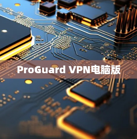ProGuard VPN电脑版