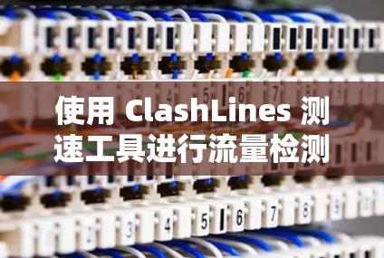使用 ClashLines 测速工具进行流量检测，可以更好地评估和优化网络性能。以下是一个简洁的步骤指南