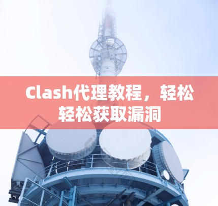 Clash代理教程，轻松轻松获取漏洞