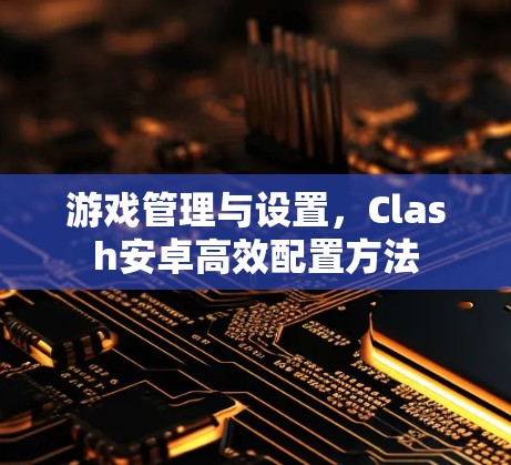 游戏管理与设置，Clash安卓高效配置方法