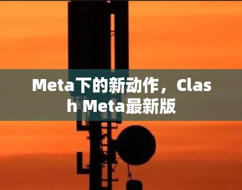 Meta下的新动作，Clash Meta最新版