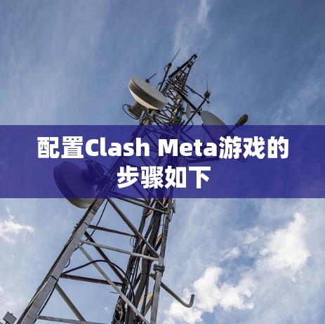 配置Clash Meta游戏的步骤如下 配置Clash Meta游戏的步骤如下