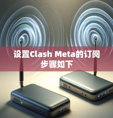 设置Clash Meta的订阅步骤如下