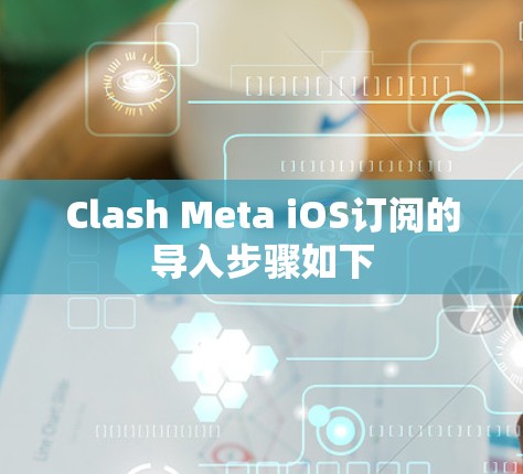 Clash Meta iOS订阅的导入步骤如下