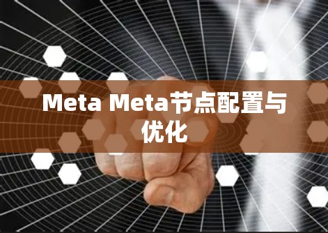 Meta Meta节点配置与优化