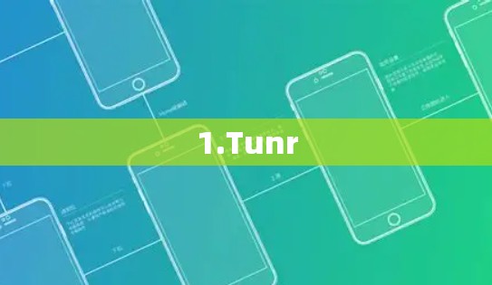 1.Tunr