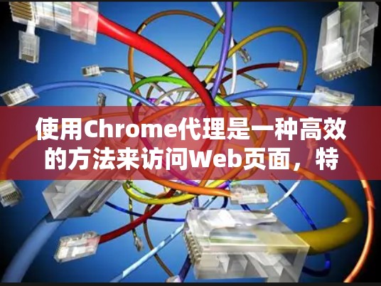 使用Chrome代理是一种高效的方法来访问Web页面，特别是在需要快速访问多个网站或避免安全风险的情况下。以下是详细的Chrome代理使用指南