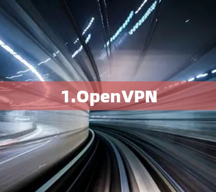 1.OpenVPN