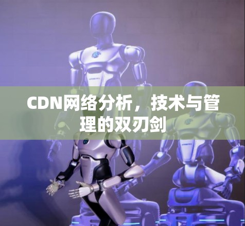CDN网络分析,技术与管理的双刃剑 CDN网络分析,技术与管理的双刃剑