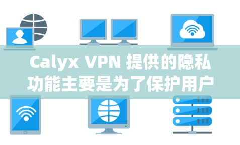 Calyx VPN 提供的隐私功能主要是为了保护用户隐私和数据安全，以下是其主要的隐私功能
