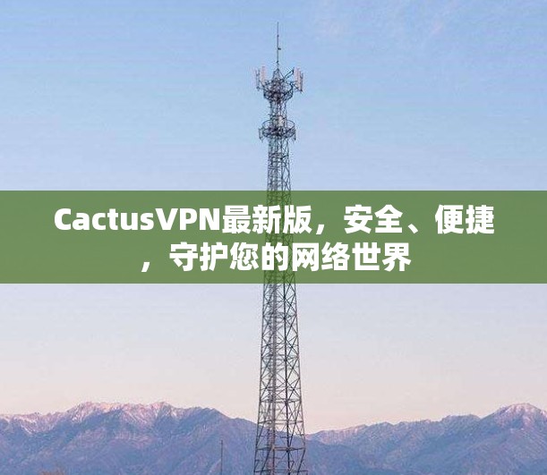 CactusVPN最新版，安全、便捷，守护您的网络世界