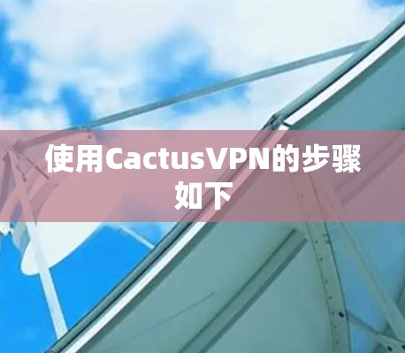 使用CactusVPN的步骤如下 使用CactusVPN的步骤如下