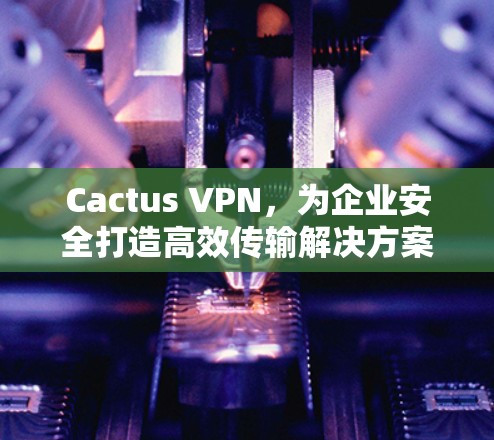 Cactus VPN，为企业安全打造高效传输解决方案