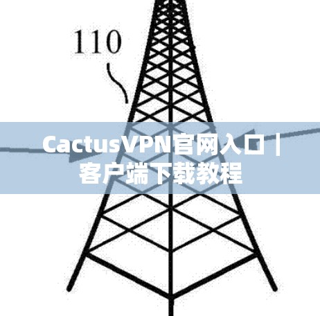 CactusVPN官网入口｜客户端下载教程