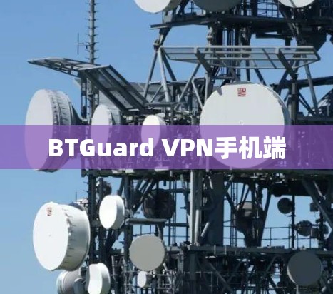 BTGuard VPN手机端 BTGuard VPN手机端