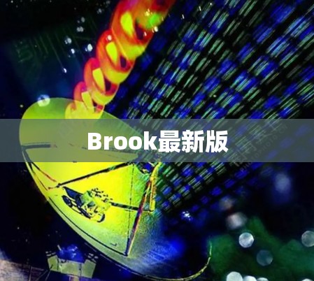 Brook最新版