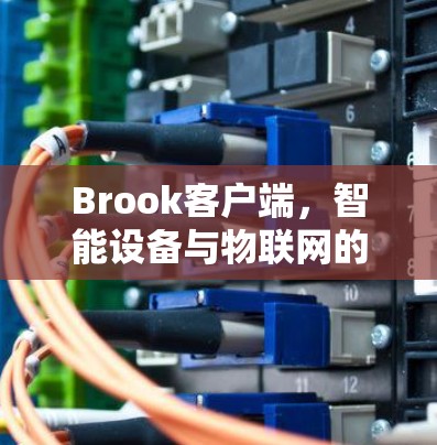 Brook客户端，智能设备与物联网的完美融合