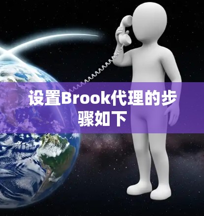 设置Brook代理的步骤如下