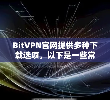 BitVPN官网提供多种下载选项，以下是一些常见步骤