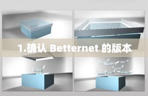 1.确认 Betternet 的版本