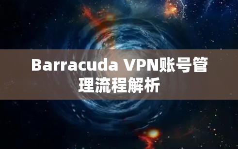Barracuda VPN账号管理流程解析