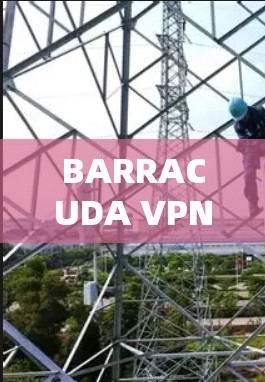 BARRACUDA VPN 移动客户端 使用教程