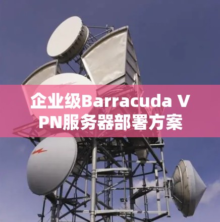 企业级Barracuda VPN服务器部署方案