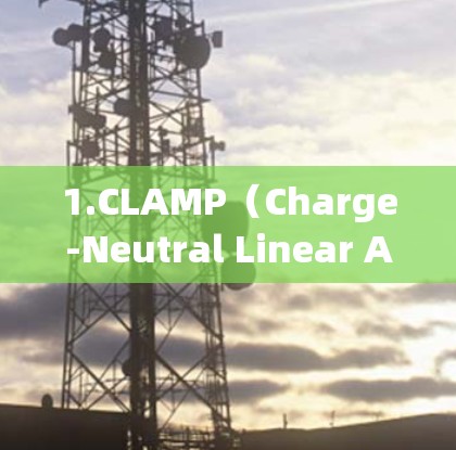 1.CLAMP（Charge-Neutral Linear Accelerator）