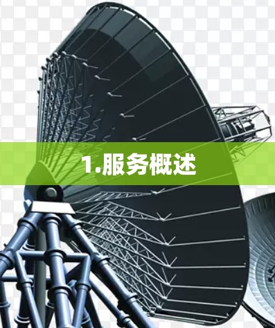 1.服务概述