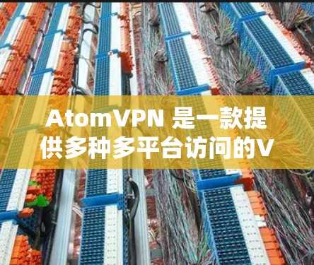 AtomVPN 是一款提供多种多平台访问的VPN服务，旨在为用户提供安全、便捷的网络接入体验。以下是详细介绍