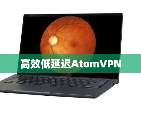 高效低延迟AtomVPN