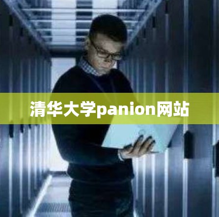 清华大学panion网站