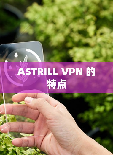 ASTRILL VPN 的特点
