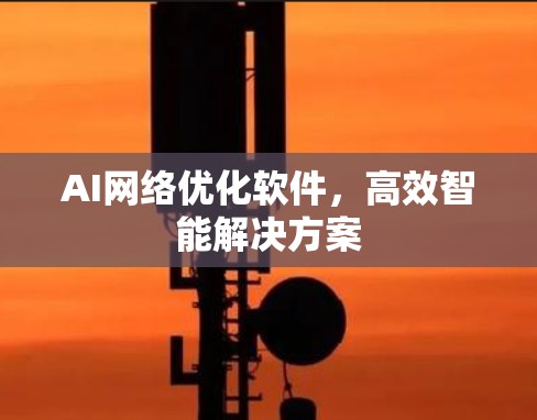 AI网络优化软件，高效智能解决方案